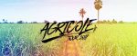 A Short & Personal Essay About Agricole Rums