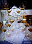 Raucous Rum Tasting (05 June 2012)